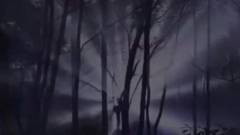 脱逃者