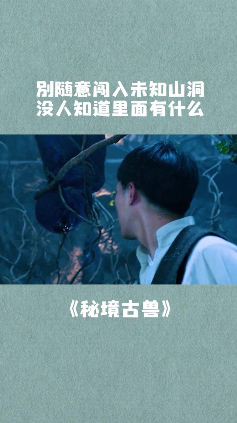 疯狂的小猫